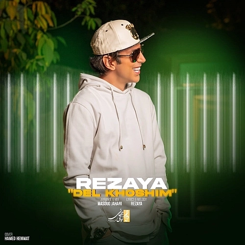 Cover artwork for Delkhoshim by Rezaya